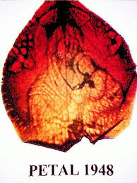 Bohorodička s Ježiškom